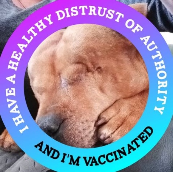 Meet your Posher, Ngaere - Picture 1 of 1